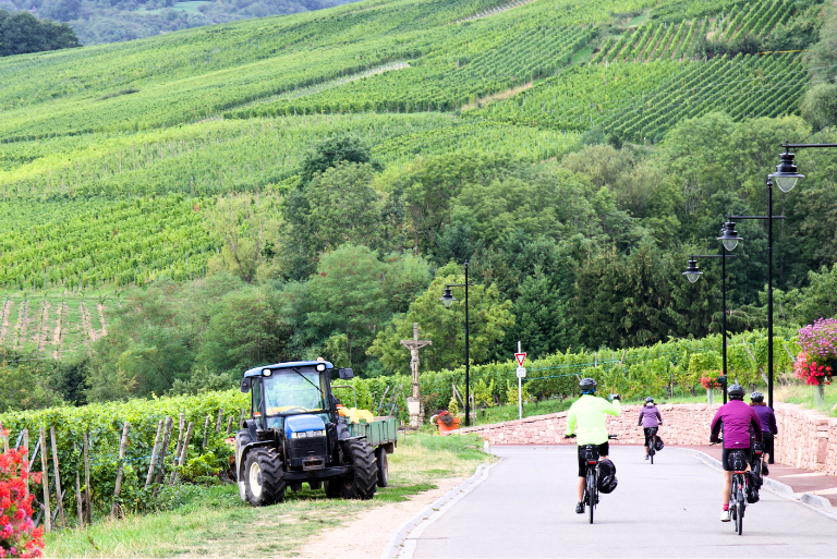 La route des vins d'Alsace